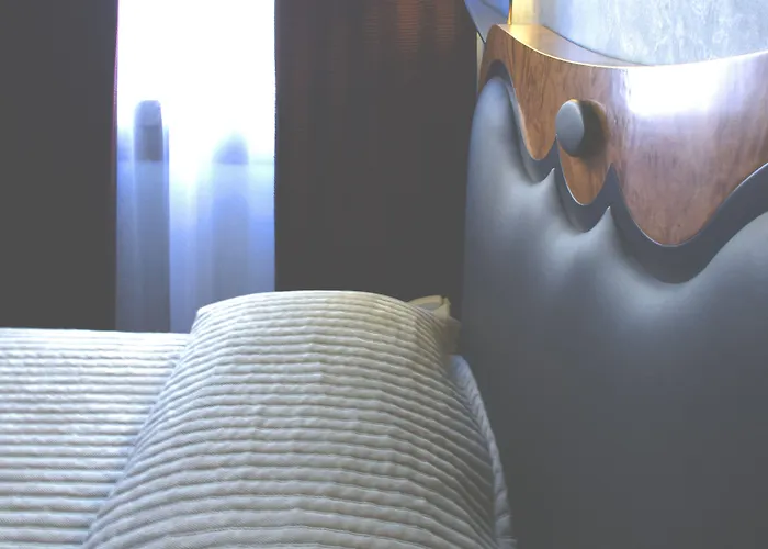 Otel Paganelli Venedik